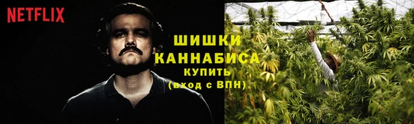 сатива Верхний Тагил