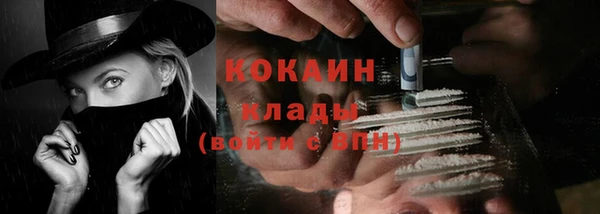 сатива Верхний Тагил