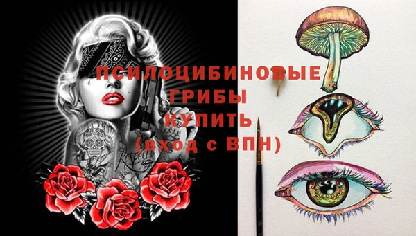 сатива Верхнеуральск