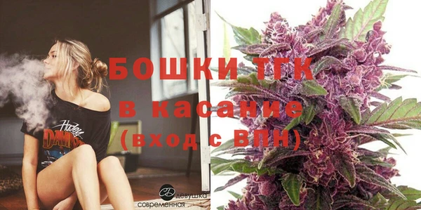 сатива Верхний Тагил