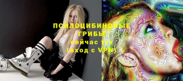 дживик Вяземский