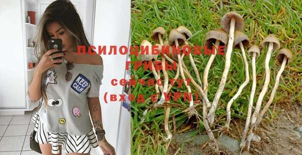 дживик Вяземский