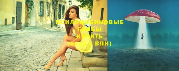 сатива Верхний Тагил