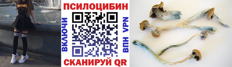 omg   где купить   Игарка  Галлюциногенные грибы Magic Shrooms 