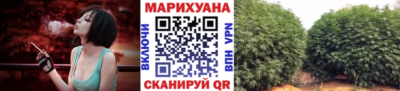 где продают наркотики  Игарка  Конопля ГИДРОПОН 